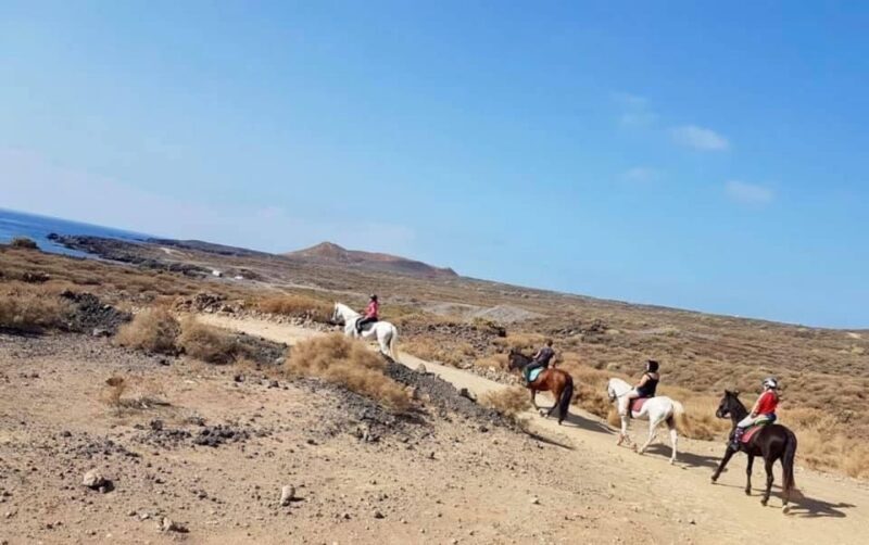 Tenerife: Horseback Ride with Instructor - Scenic Ride Through Tenerife’s Natural Beauty