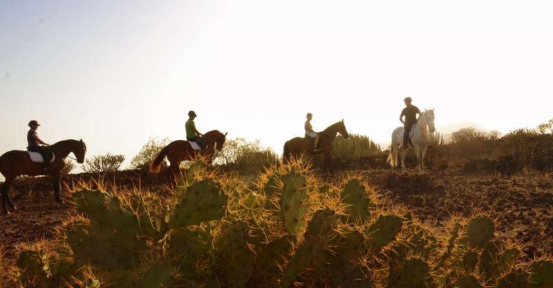 Tenerife: Horseback Ride with Instructor - Authentic and Authentic-Feeling Experience