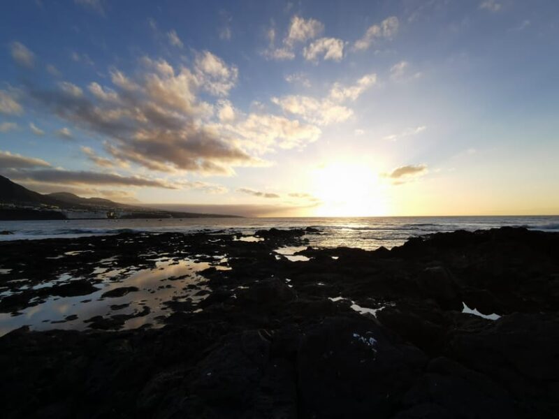 Tenerife Island, The Best Day Tour FOR CRUISE PASSENGERS - The Sum Up