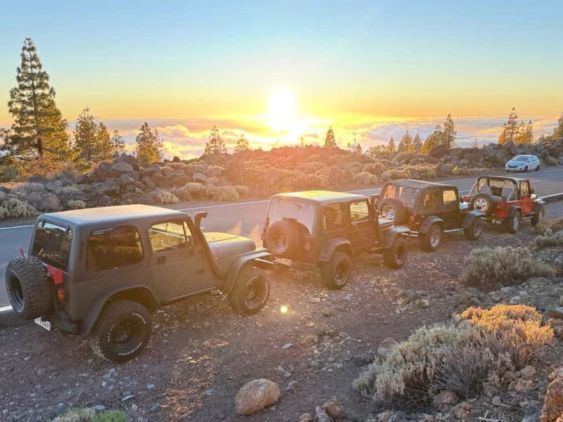 Tenerife: Jeep Wrangler Tour to Mount Teide, Day and Sunset - Who Is This Tour Best For?