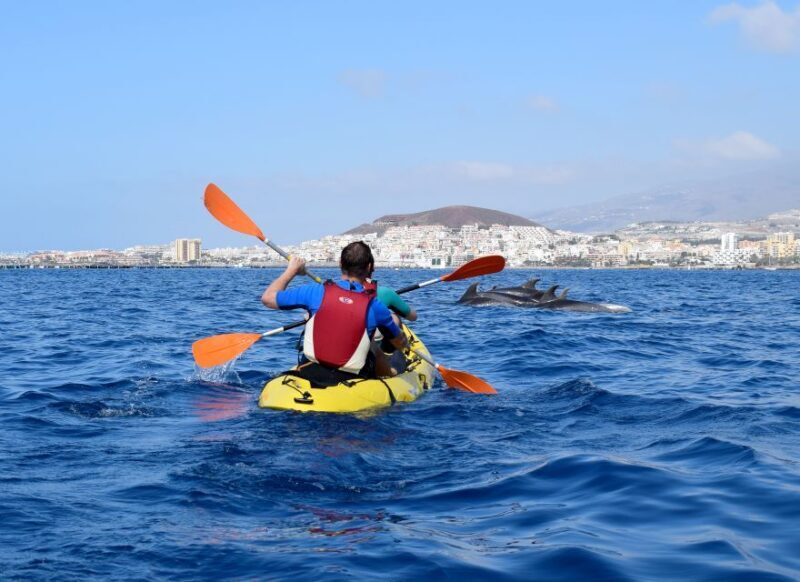Tenerife: Kayak and Snorkel with Turtles with Free Videos - Authentic Insights from Travelers