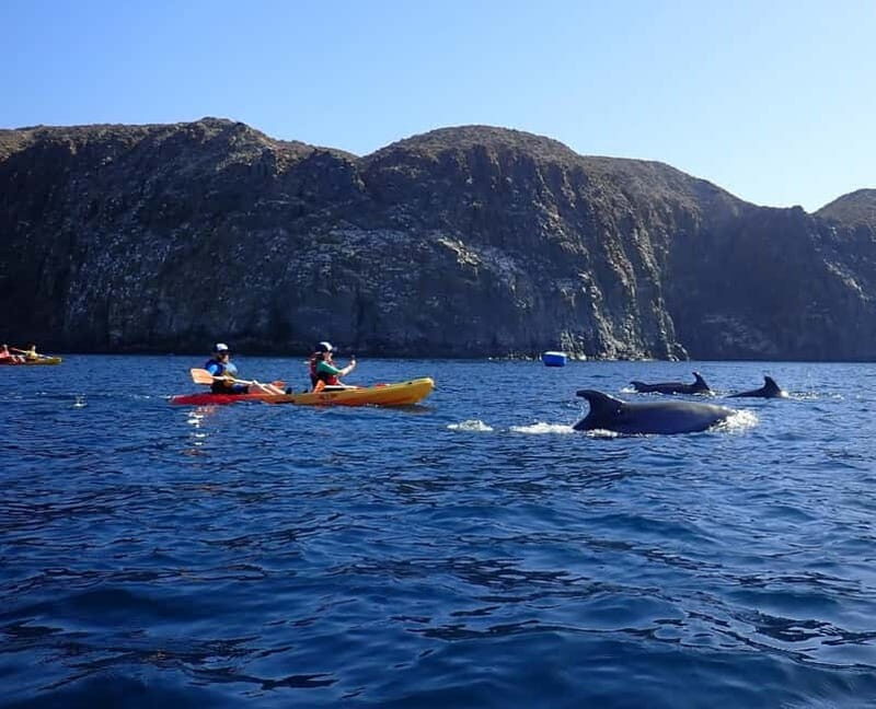 Tenerife: Kayak Sea Safari with Snorkel and Snacks - An In-Depth Look at the Experience