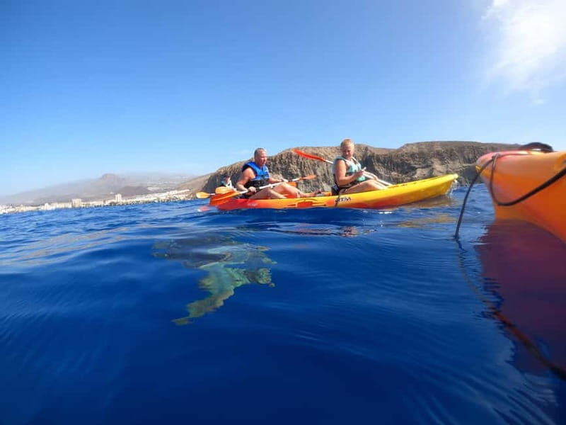 Tenerife: Kayak Sea Safari with Snorkel and Snacks - Who is This Tour Best For?