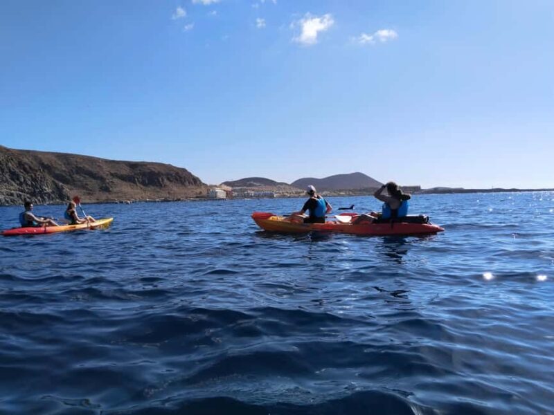 Tenerife: Kayak Sea Safari with Snorkel and Snacks - Final Thoughts