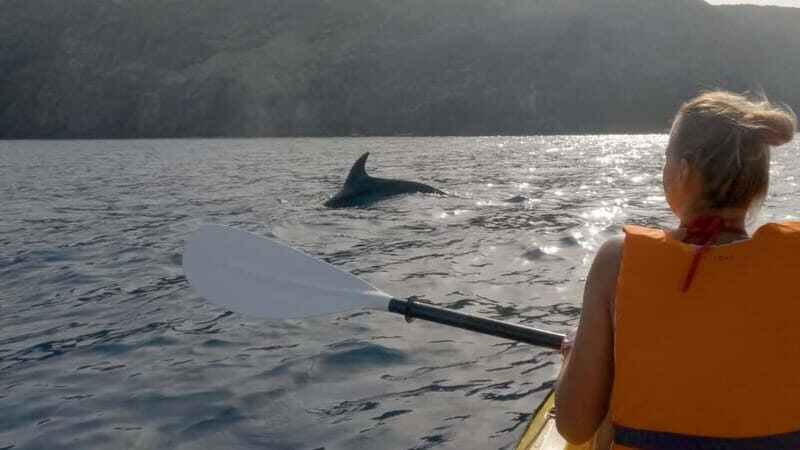 Tenerife: Kayak & Snorkeling Tour - Small Groups - Who This Tour Is Perfect For