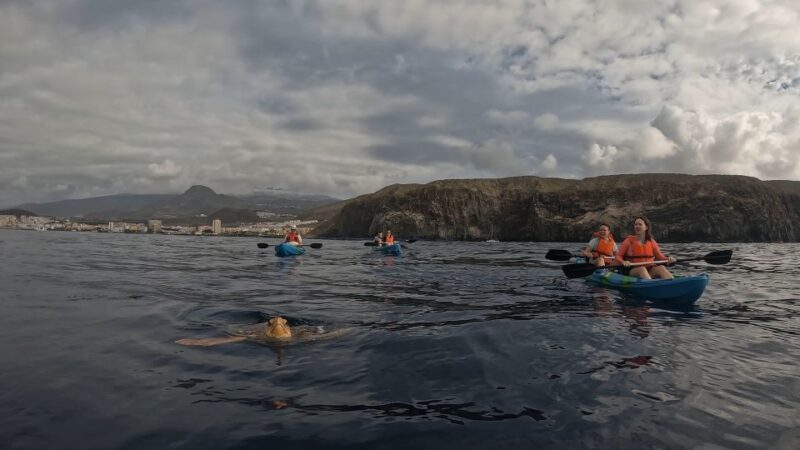Tenerife: kayak tour with animals and underwater scooters - FAQs