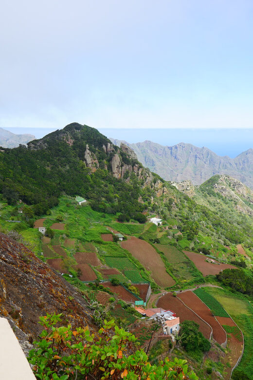 Tenerife: La Laguna & Anaga hike - Discovering Tenerife’s Natural and Cultural Treasures