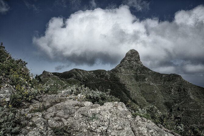 Tenerife Landscape Photography Workshops 10 hours - Who Should Book This Tour?