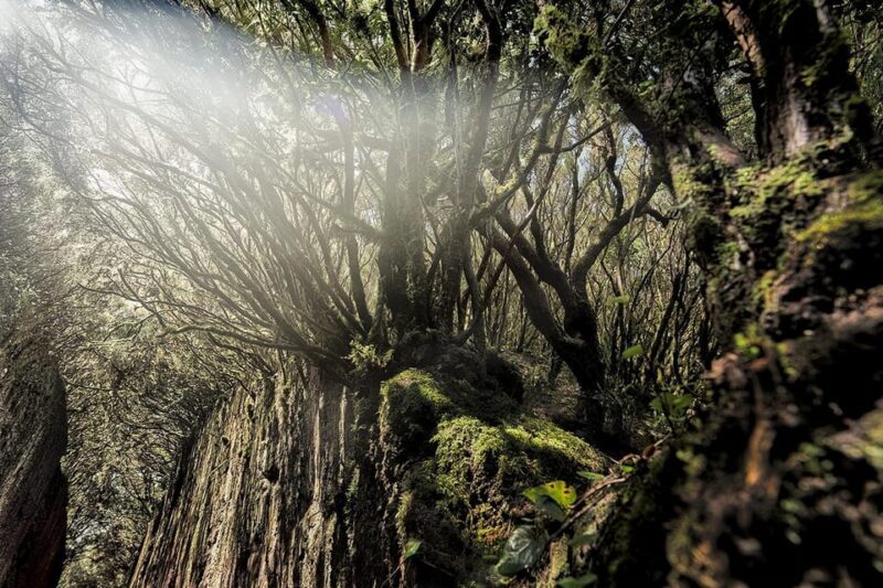 Tenerife: Landscape Photography Workshops, 10 hrs. - Final Thoughts: Is It Worth It?