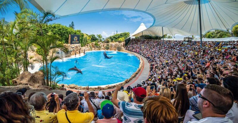 Tenerife: Loro Parque Entry Ticket - Key Points