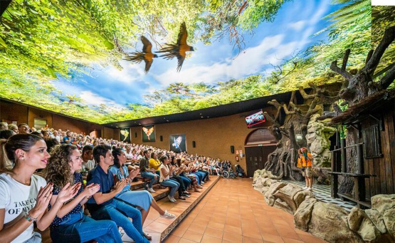 Tenerife: Loro Parque Entry Ticket - Authentic Experiences and Reviewer Insights