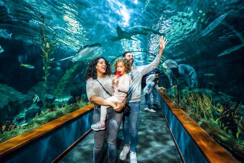 Tenerife: Loro Parque Entry Ticket - FAQ