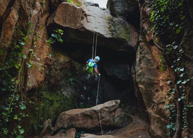 Tenerife: Los Arcos Canyoning Tour with Guide - Who Is This Tour Perfect For?