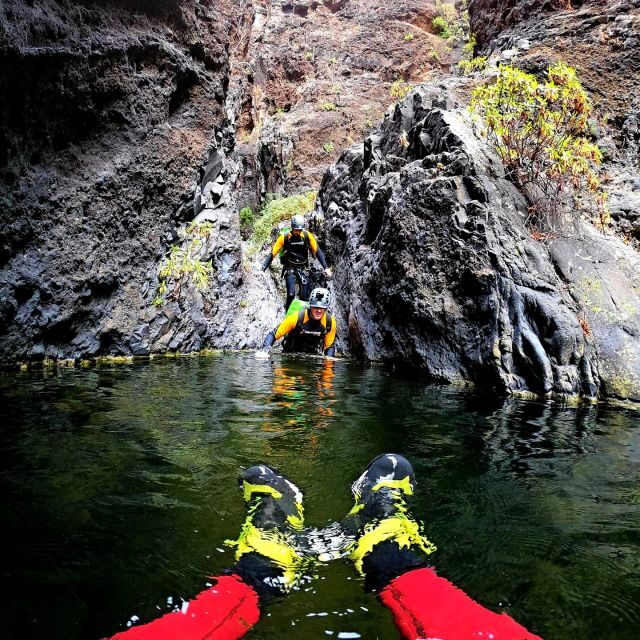 Tenerife: Los Carrizales Water Canyoning Tour - Key Points
