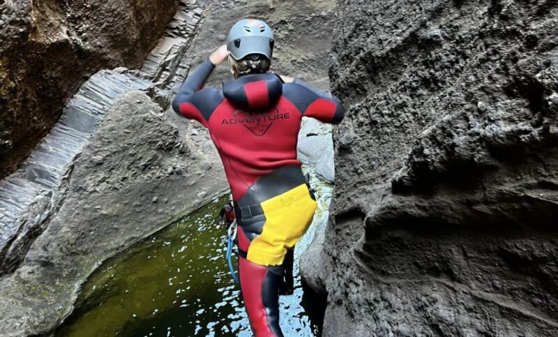 Tenerife: Los Carrizales Water Canyoning Tour - A Deep Dive into the Experience