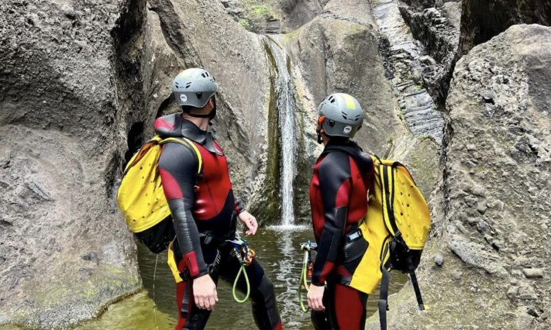 Tenerife: Los Carrizales Water Canyoning Tour - What’s Included and What’s Not