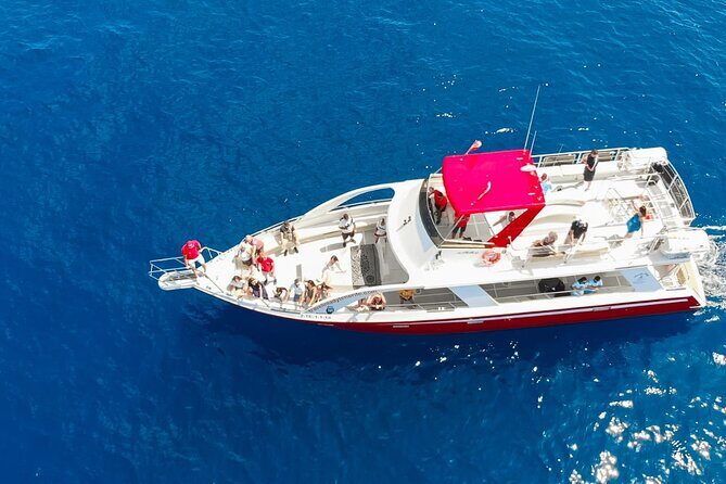 Tenerife Los Cristianos: Whale and Dolphin Eco-Yacht and Swim Stop - The Itinerary: What to Expect on Your Marine Adventure