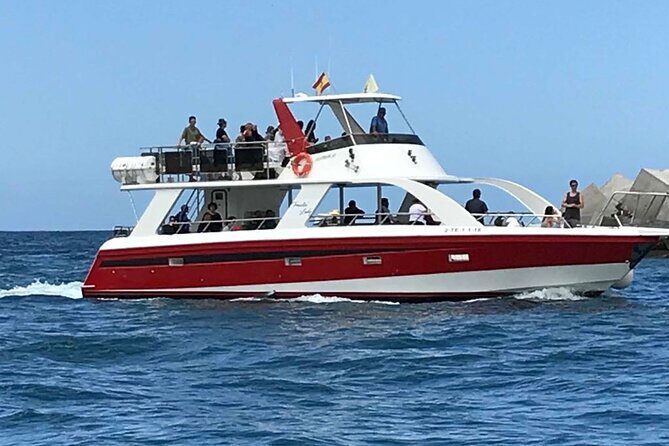 Tenerife Los Cristianos: Whale and Dolphin Eco-Yacht and Swim Stop - Final Thoughts: Is It Worth It?