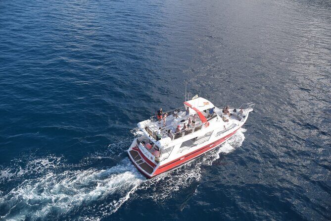 Tenerife Los Cristianos: Whale and Dolphin Eco-Yacht and Swim Stop - FAQ