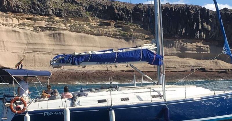 Tenerife: Luxury Private Whale & Dolphin Watching Tour - Who Should Consider This Tour?