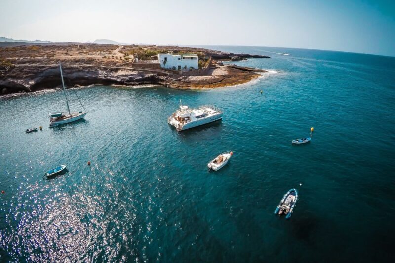 Tenerife: Marine-Life Tour with Transfer, Buffet and Drinks - Final Thoughts