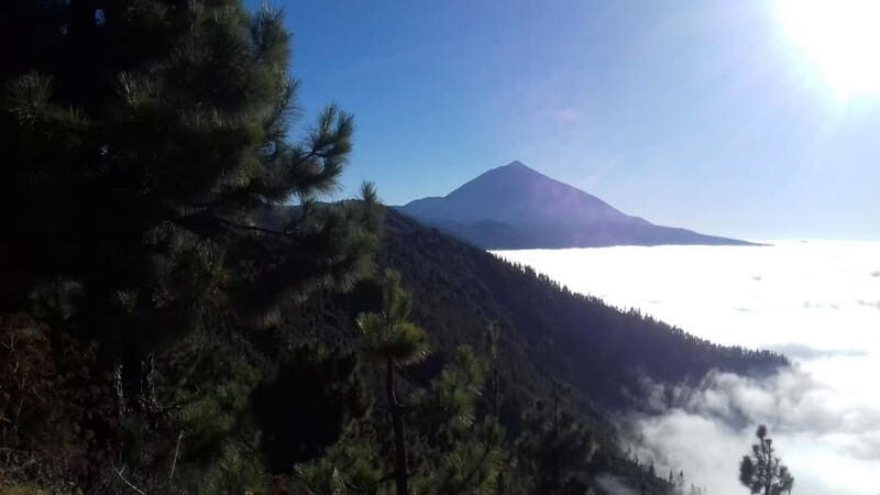 Tenerife: mindfulness experience for well-being - Practical Details for Planning Your Visit