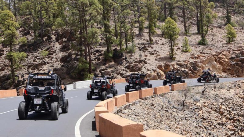 Tenerife: MORNING - 3H Buggy tour of Teide - End of Tour & Return
