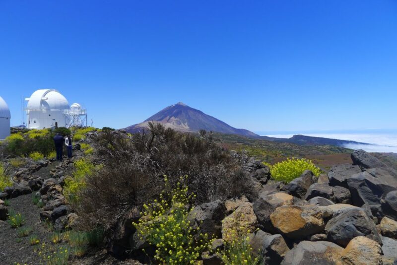 Tenerife: Mount Teide Observatory Astronomical Tour - The Transportation and Logistics