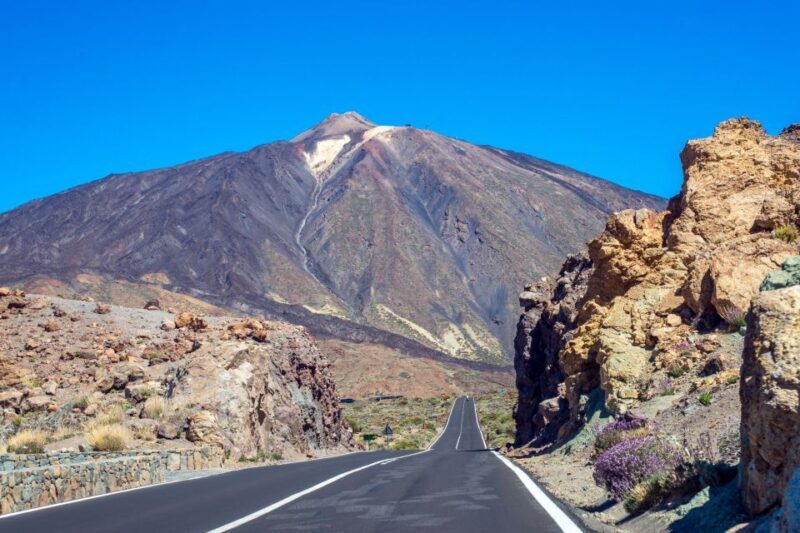 Tenerife: Mount Teide Quad Tour in Tenerife National Park - Who Will Love This Tour?