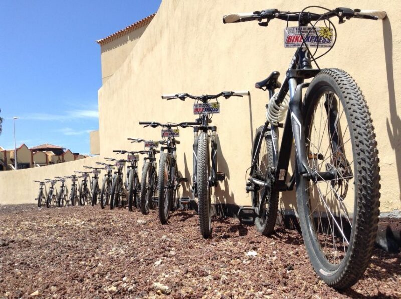 Tenerife: Mountain Bike Rental with Hotel Delivery - Final Thoughts: Is it Worth It?