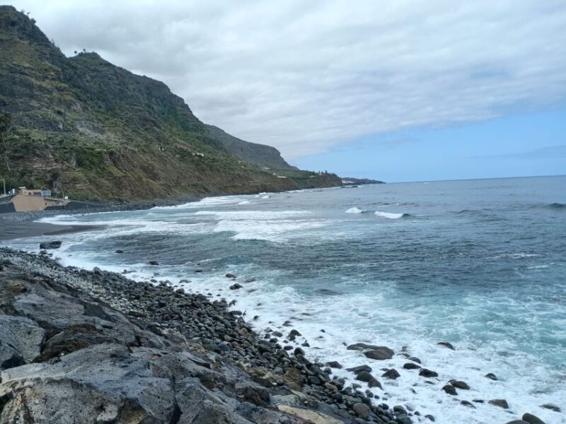 Tenerife: North Coast Landscapes Private Day Tour - Exploring the North Coast: What to Expect