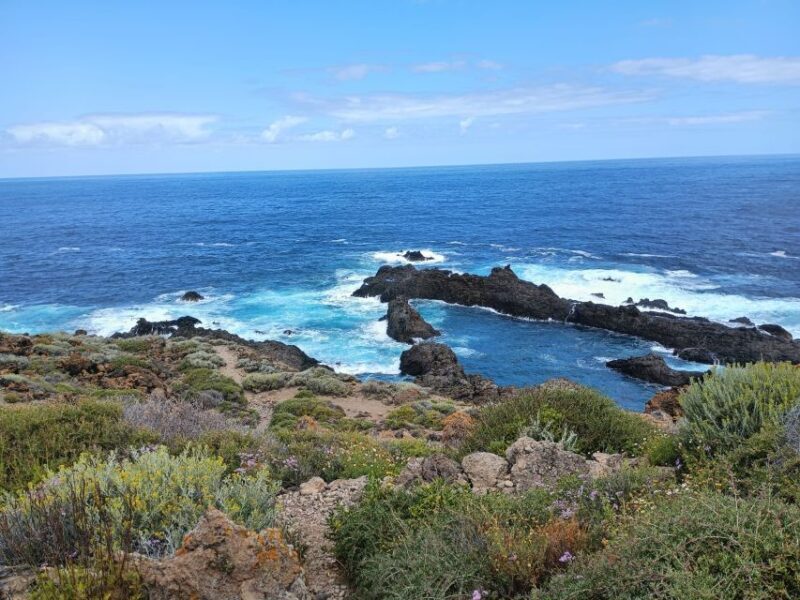 Tenerife: North Coast Landscapes Private Day Tour - Authentic Insights from Reviewers