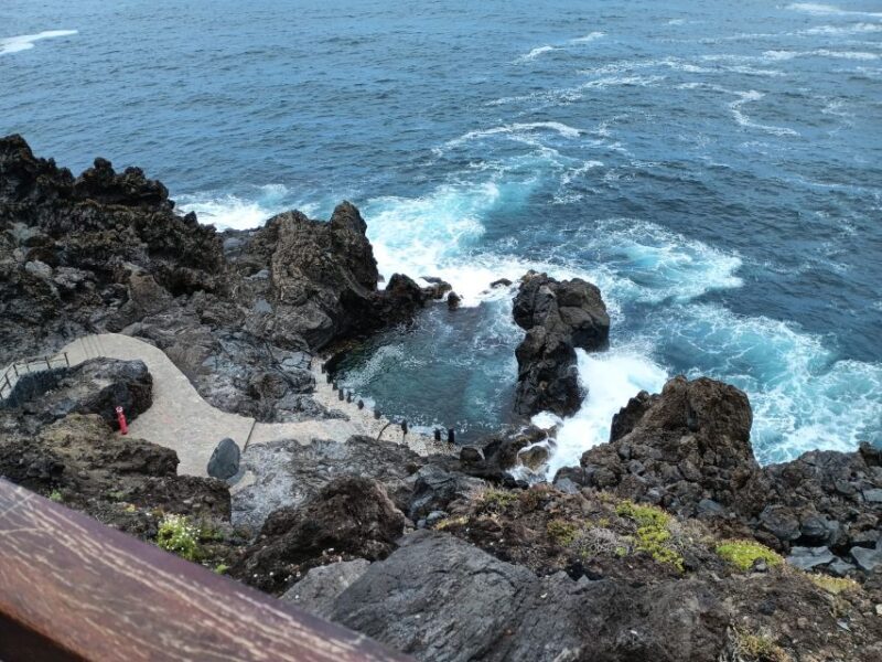 Tenerife: North Coast Landscapes Private Day Tour - Who Will Enjoy This Tour?