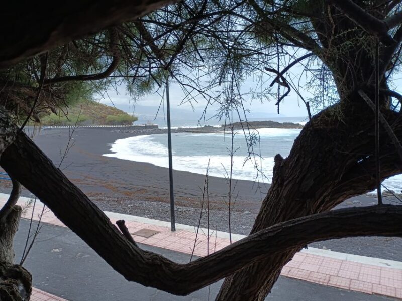 Tenerife: North Coast Landscapes Private Day Tour - Final Thoughts