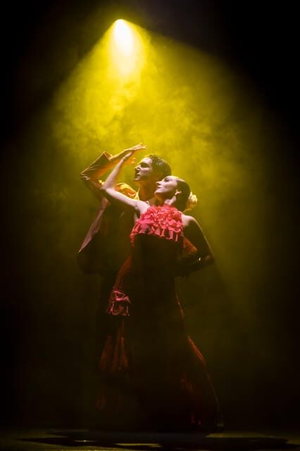 Tenerife : Olé Flamenco Show by Fran Chafino Ticket - An In-Depth Look at the Olé Flamenco Show Experience