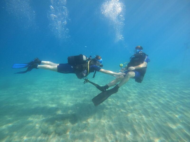 Tenerife: PADI Open Water Diver Course - Key Points