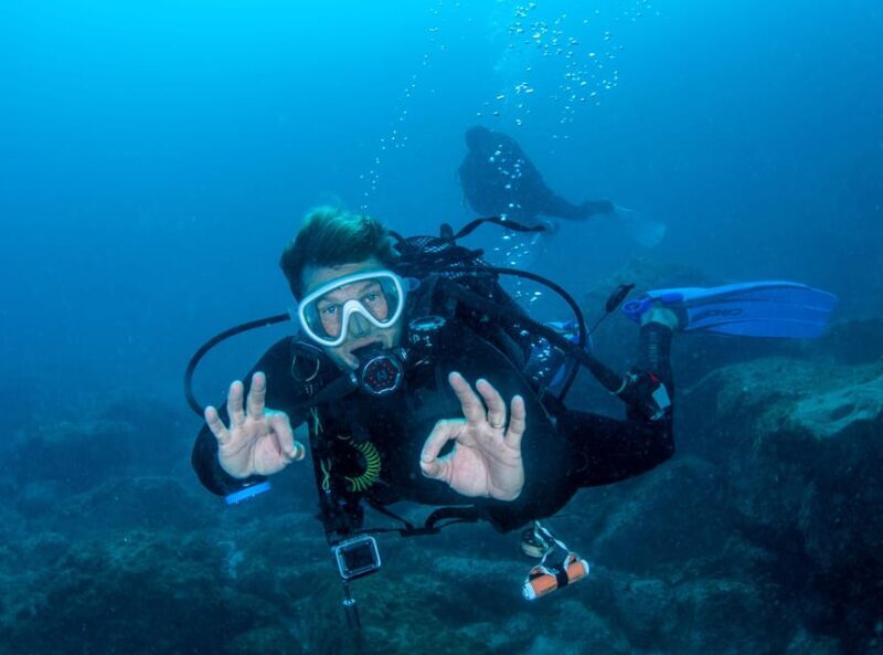 Tenerife: PADI Open Water Diver Course - Why This Course Is Worth Considering