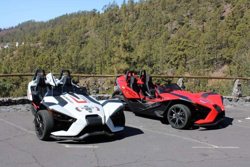 Tenerife: Pino Gordo Self-Drive Slingshot Tour - Experience Overview: Scenic Drive in a Polaris Slingshot