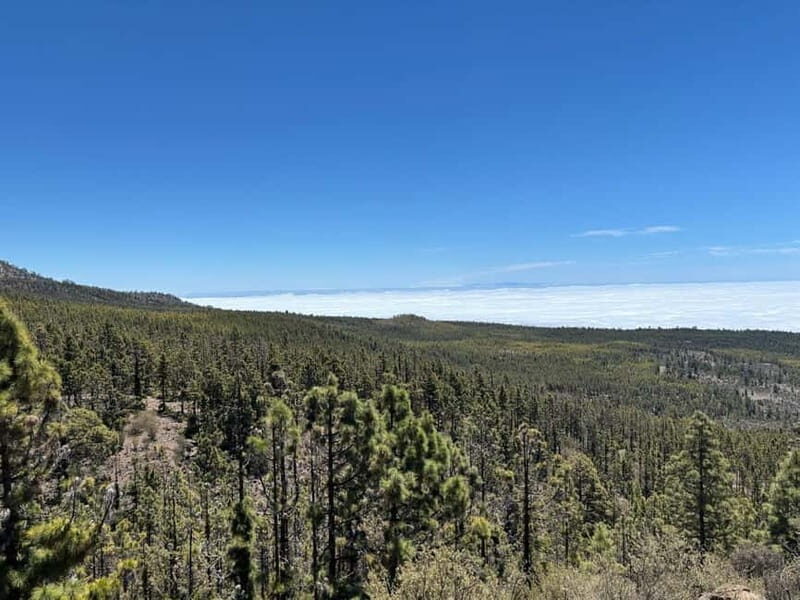 Tenerife: premium e-bike ride at Vilaflor- Lunar Landscape - The Full Picture of the Tour