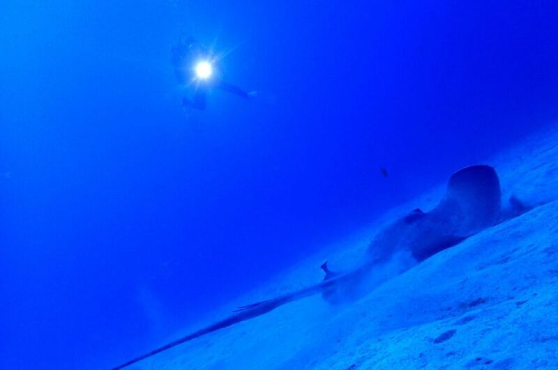 Tenerife : Private Dive for Beginners from a Boat - FAQs