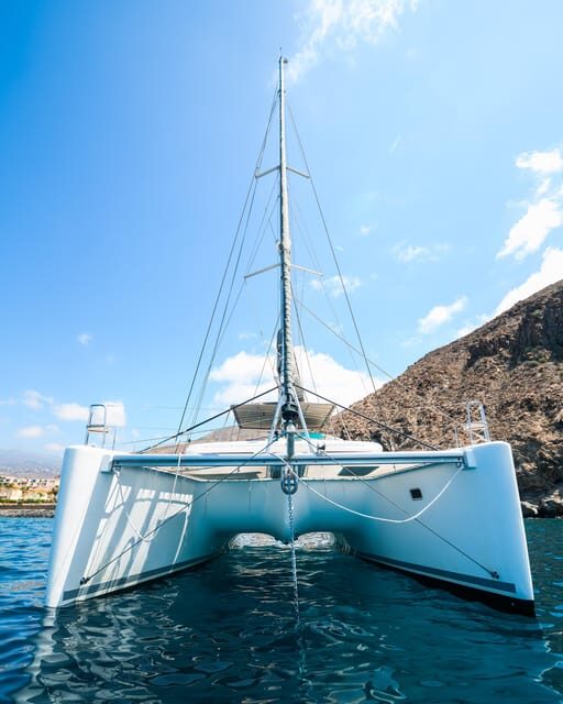 Tenerife: Private Luxury Catamaran Charter - Who Should Consider This Tour?