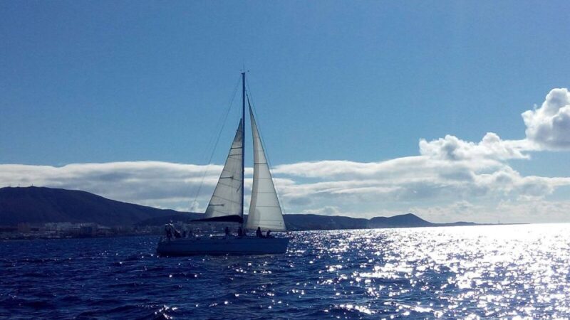 Tenerife: Private or Group 3 Hour Sailing Cruise with Drinks - Final Thoughts