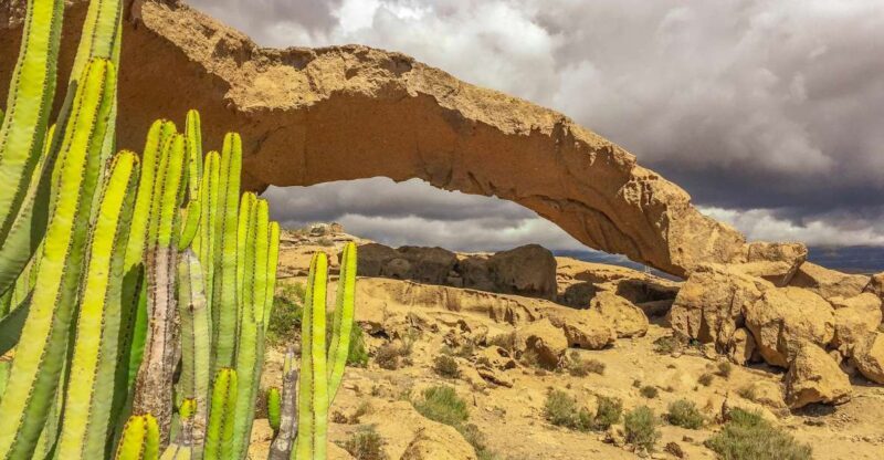 Tenerife Private Tour: Full-Day Volcanic South - Exploring Tenerife’s volcanic south: a private full-day adventure