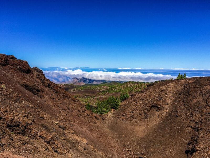 Tenerife Private Tour: Full-Day Volcanic South - Key Points