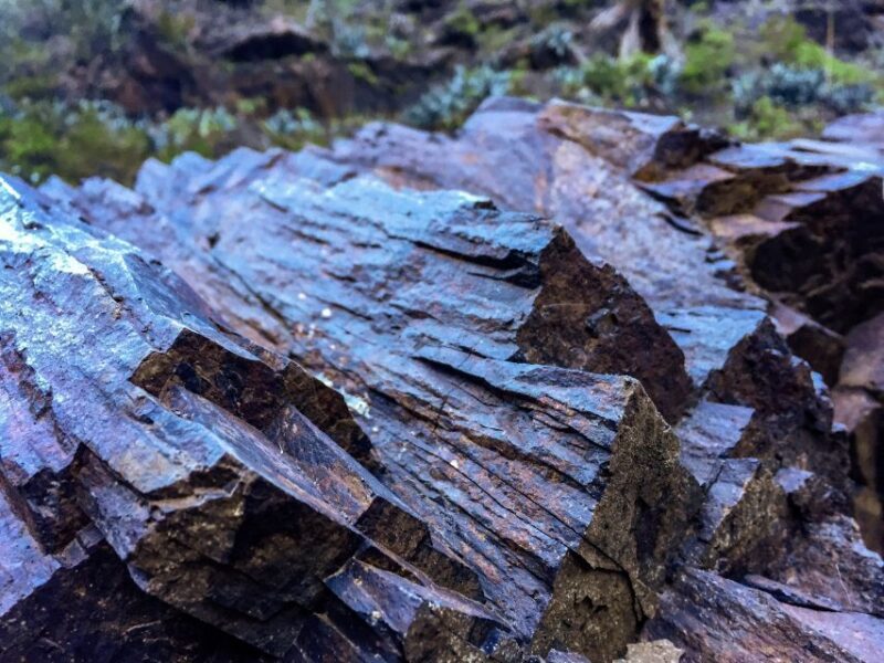 Tenerife Private Tour: Full-Day Volcanic South - FAQs