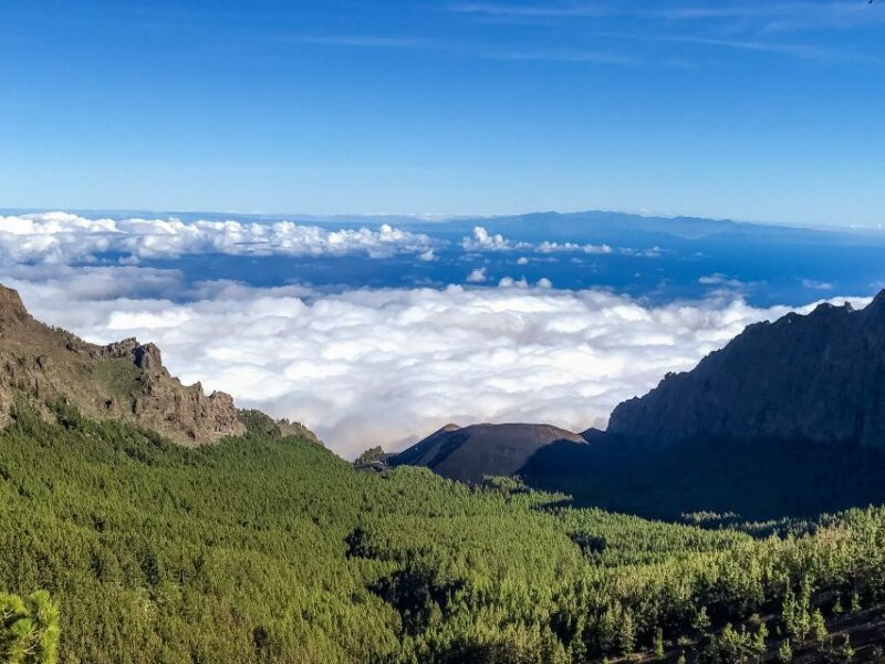 Tenerife Private Tour: Teide and Flavors of The North - Tenerife Private Tour: Teide and Flavors of The North