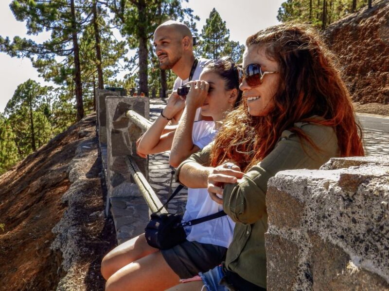 Tenerife Private Tour: Teide and Flavors of The North - Who Would Love This Tour?