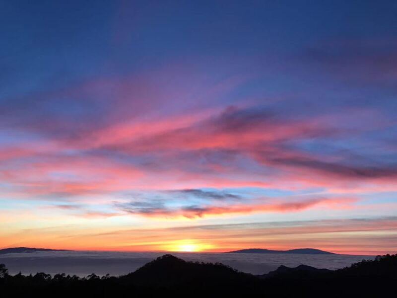 Tenerife: Private VIP Tour Teide National Park - Who Is This Tour Best For?