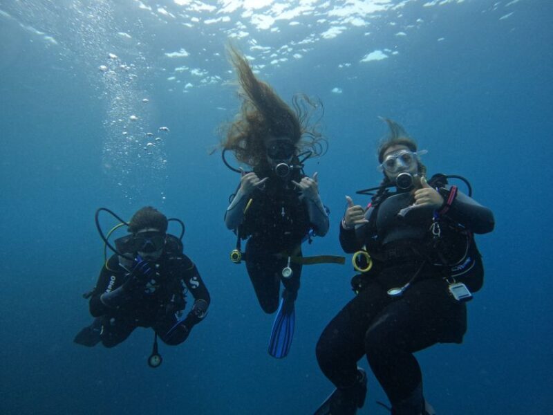 Tenerife: Puerto Colon Certified Scuba Dive by Speed Boat - Key Points