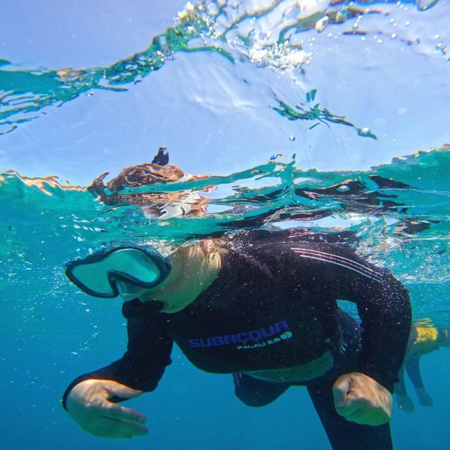 Tenerife: Puerto Colon Snorkel Safari by Speed Boat - FAQ